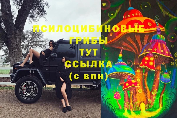 ешки Каменногорск