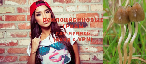 ешки Каменногорск