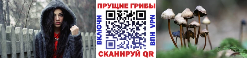 Псилоцибиновые грибы Psilocybine cubensis  что такое   Серпухов 